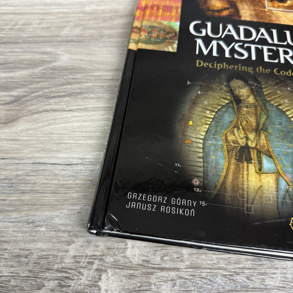 Guadalupe Mysteries: Deciphering the Code - Picture 2 of 8